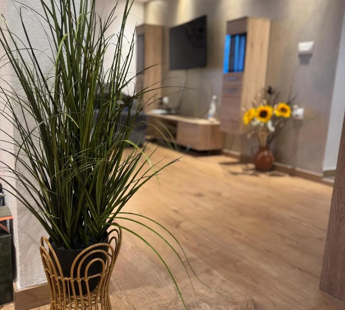 M&K Apartman Rovinj Apartment